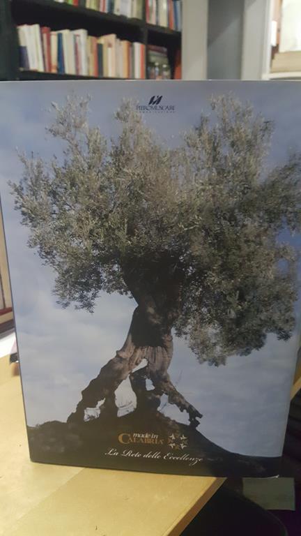 Made in calabria la rete delle eccellenze - copertina