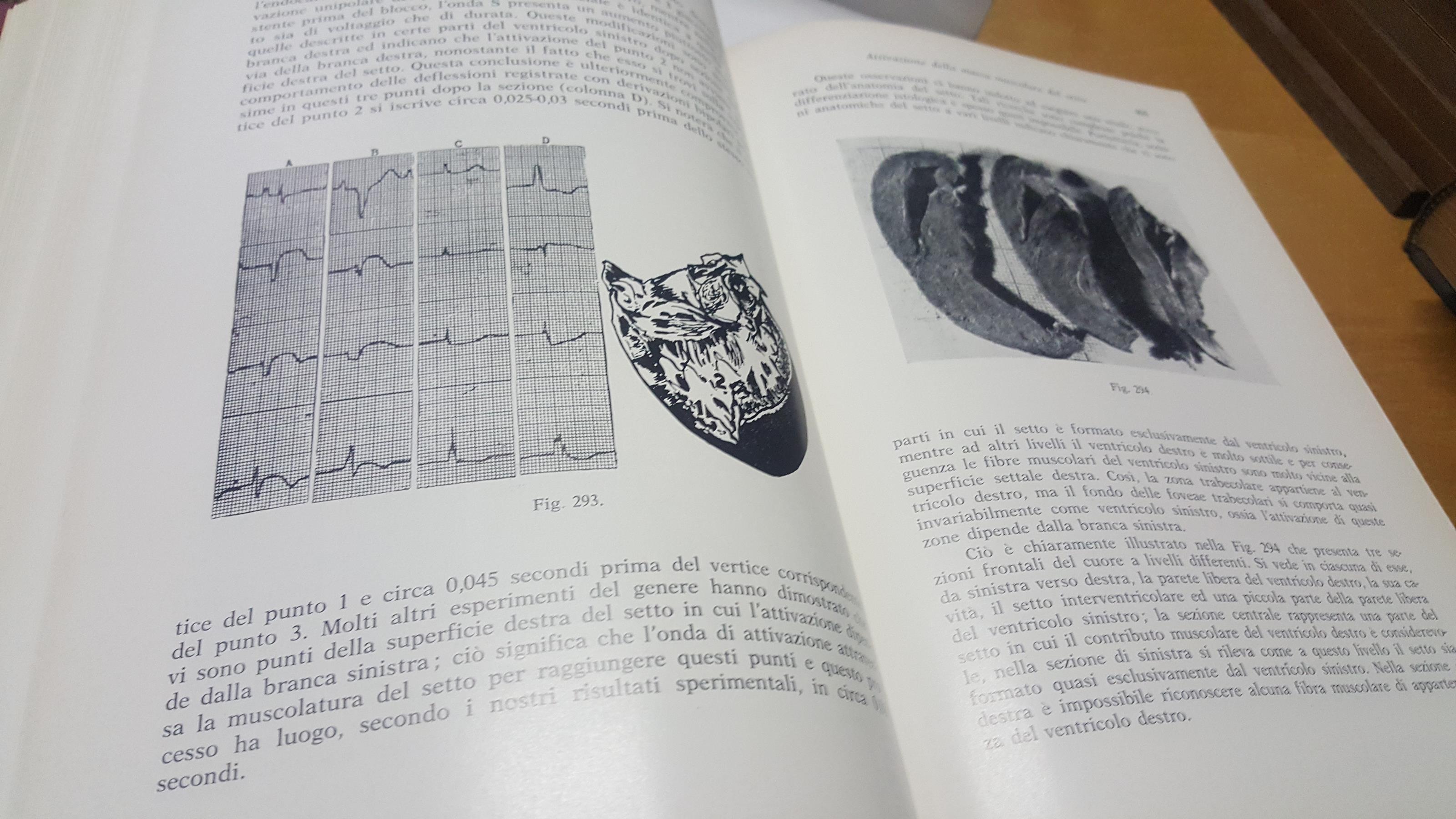Le Nuove basi della elettrocardiografia piccin editore