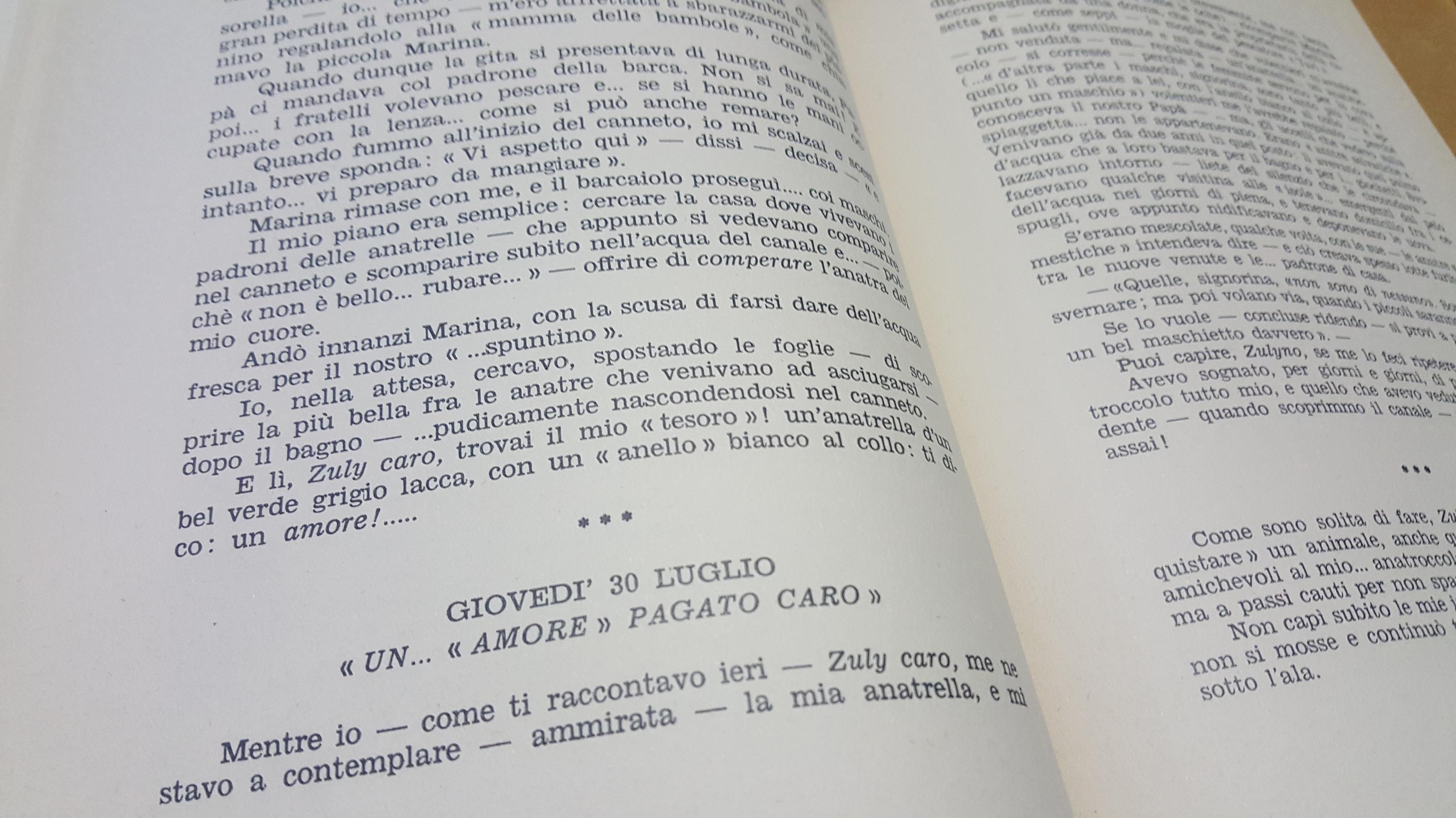 Il Libro di zuly maria antonietta castelli lovera