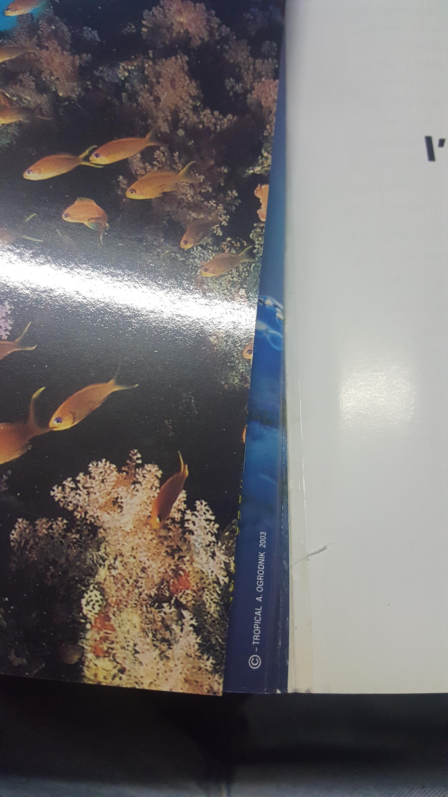 Pesci per l'acquario di barriera ittioteca