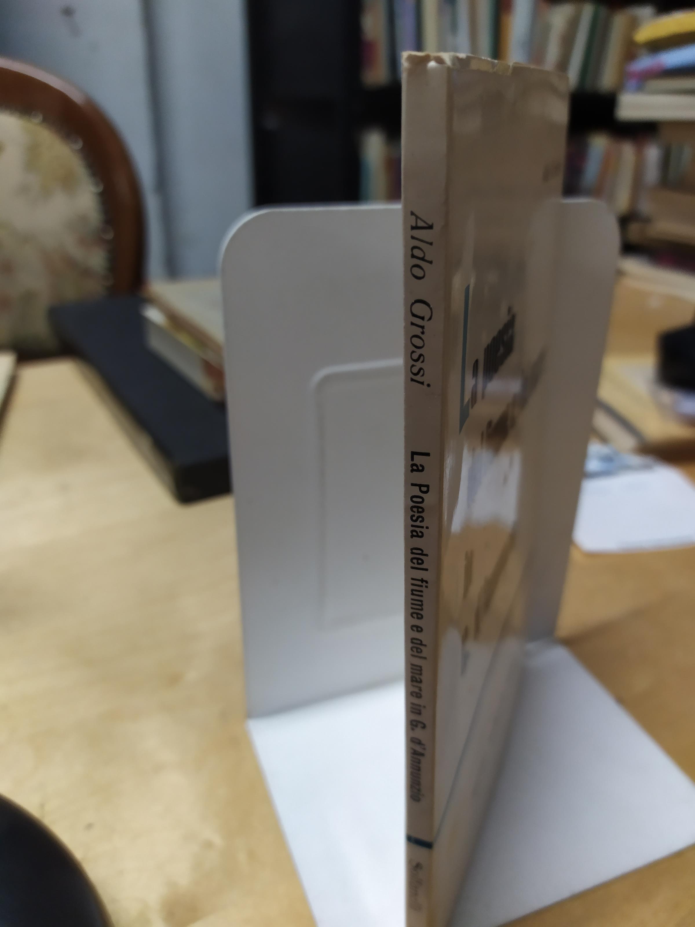 La Poesia del fiume e del mare in g.d'annunzio