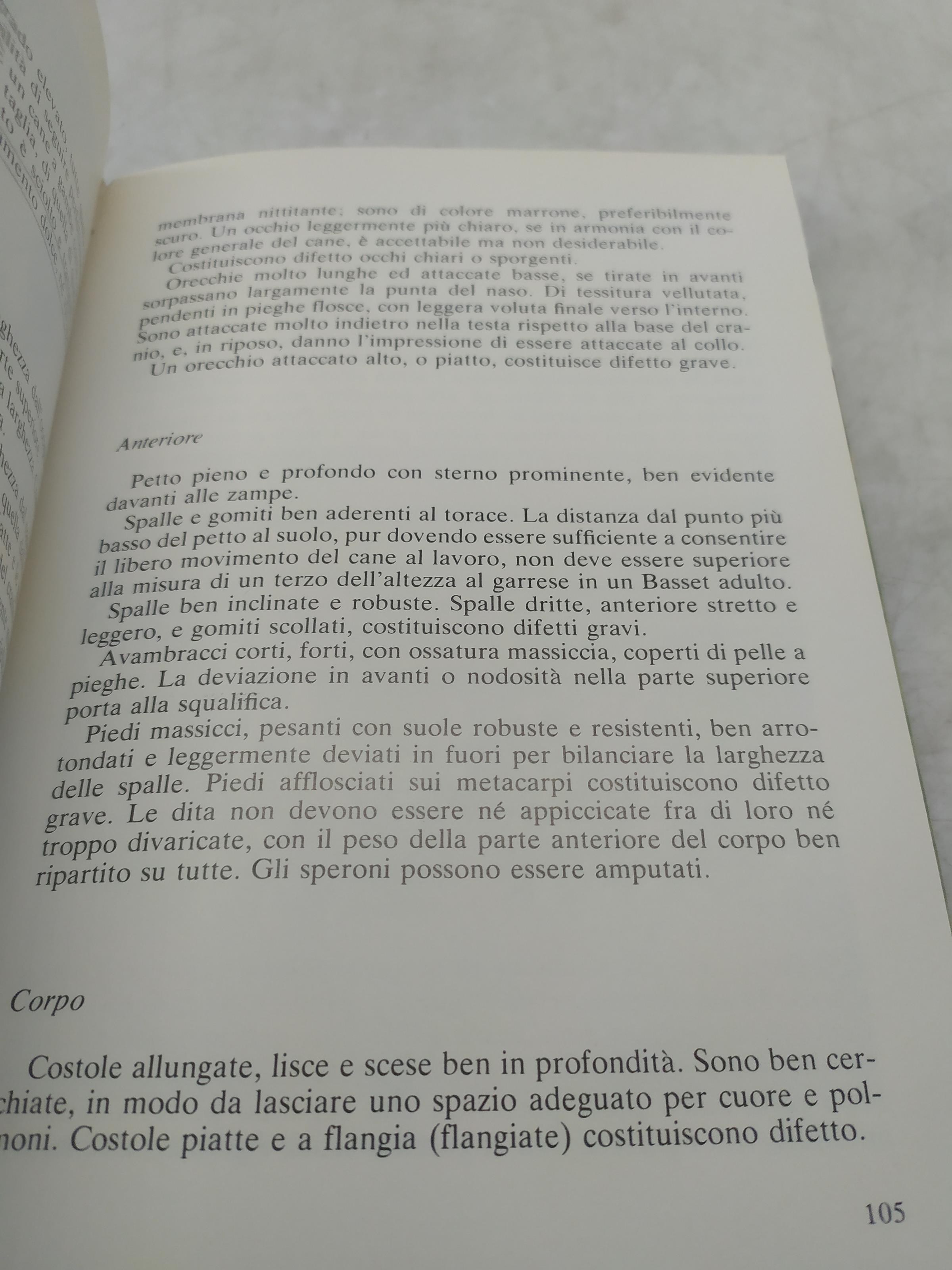 Il basset hound george johnston olimpia