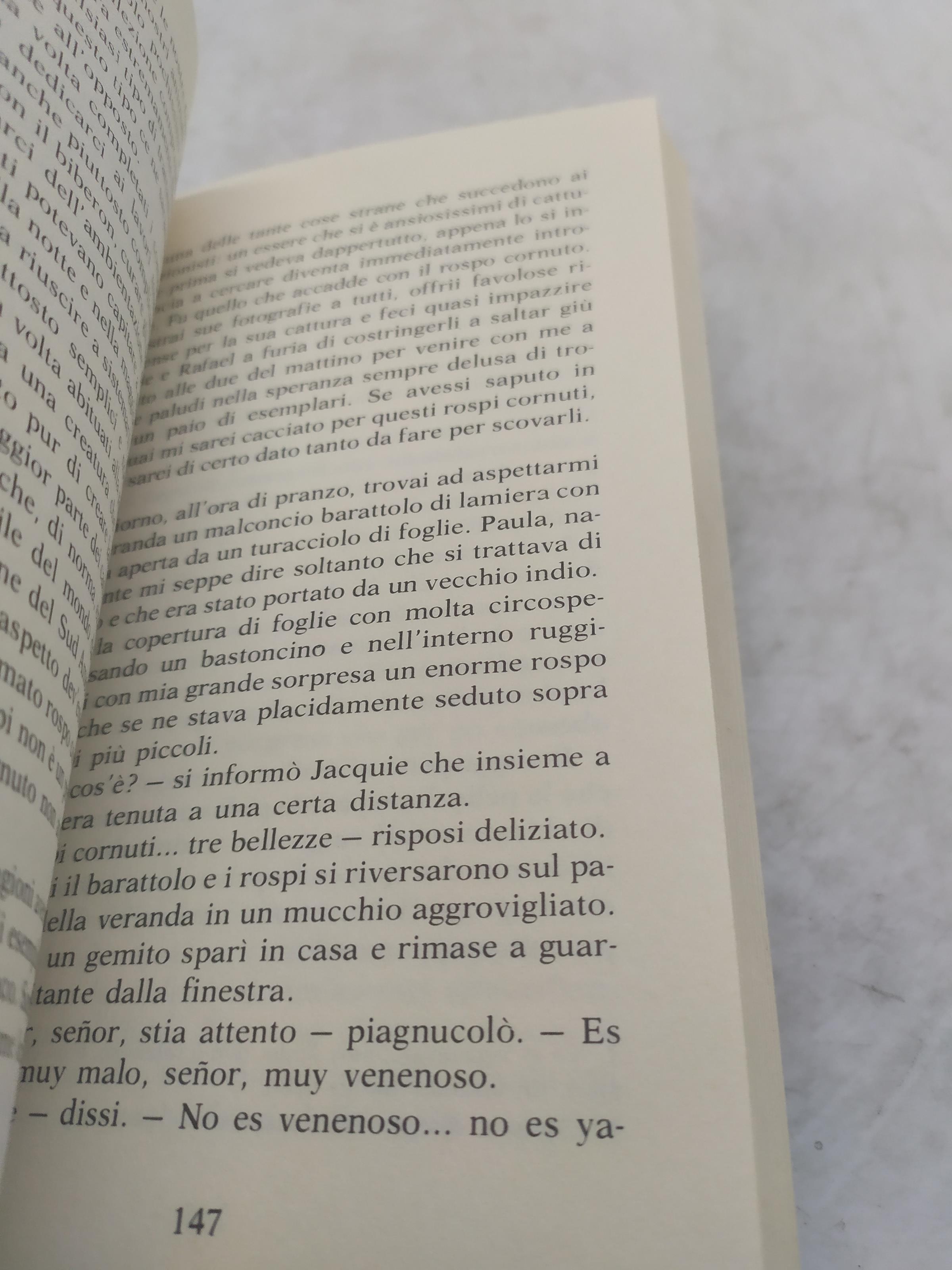La foresta ubriaca letteratura per ragazzi juvenilia