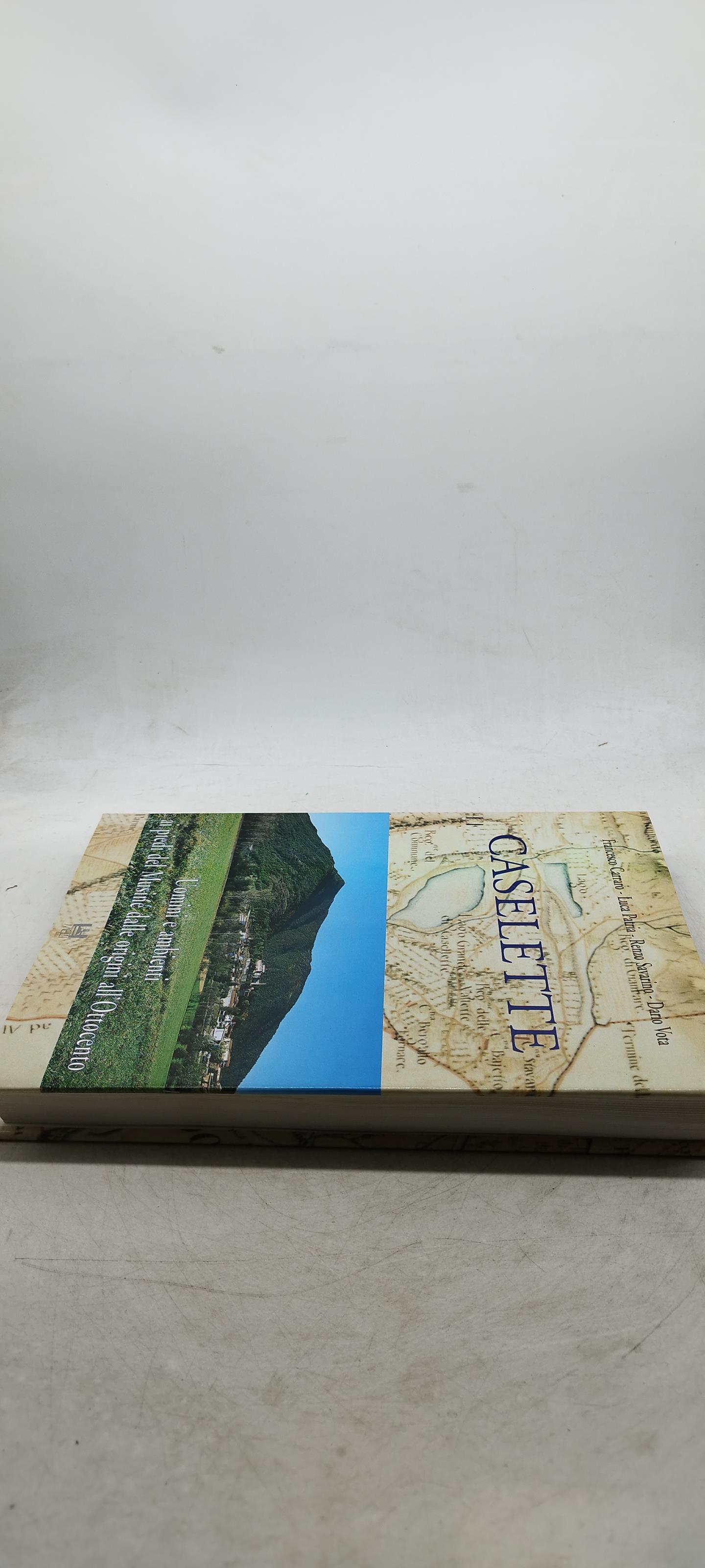 caselette uomini e ambienti ai piedi del musine dalle origini all'ottocento