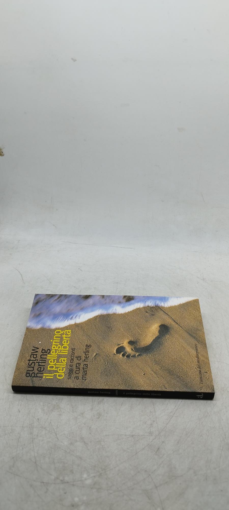 il pellegrino della libertà