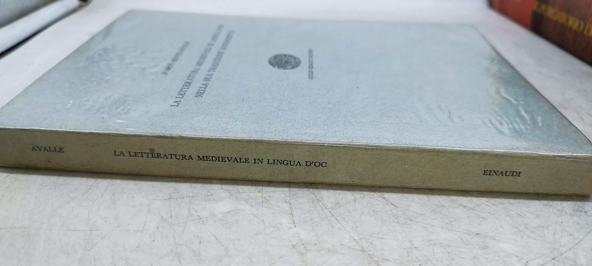 la letteratura medievale in lingua d'oc nella sua tradizione manoscritta