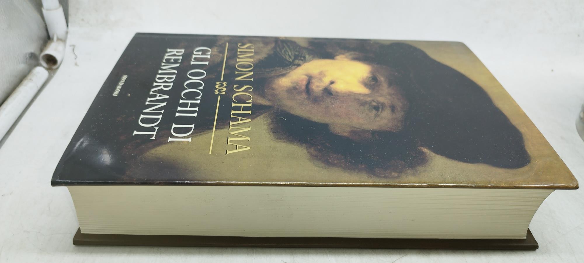 glli occhi di rembrandt simon schama