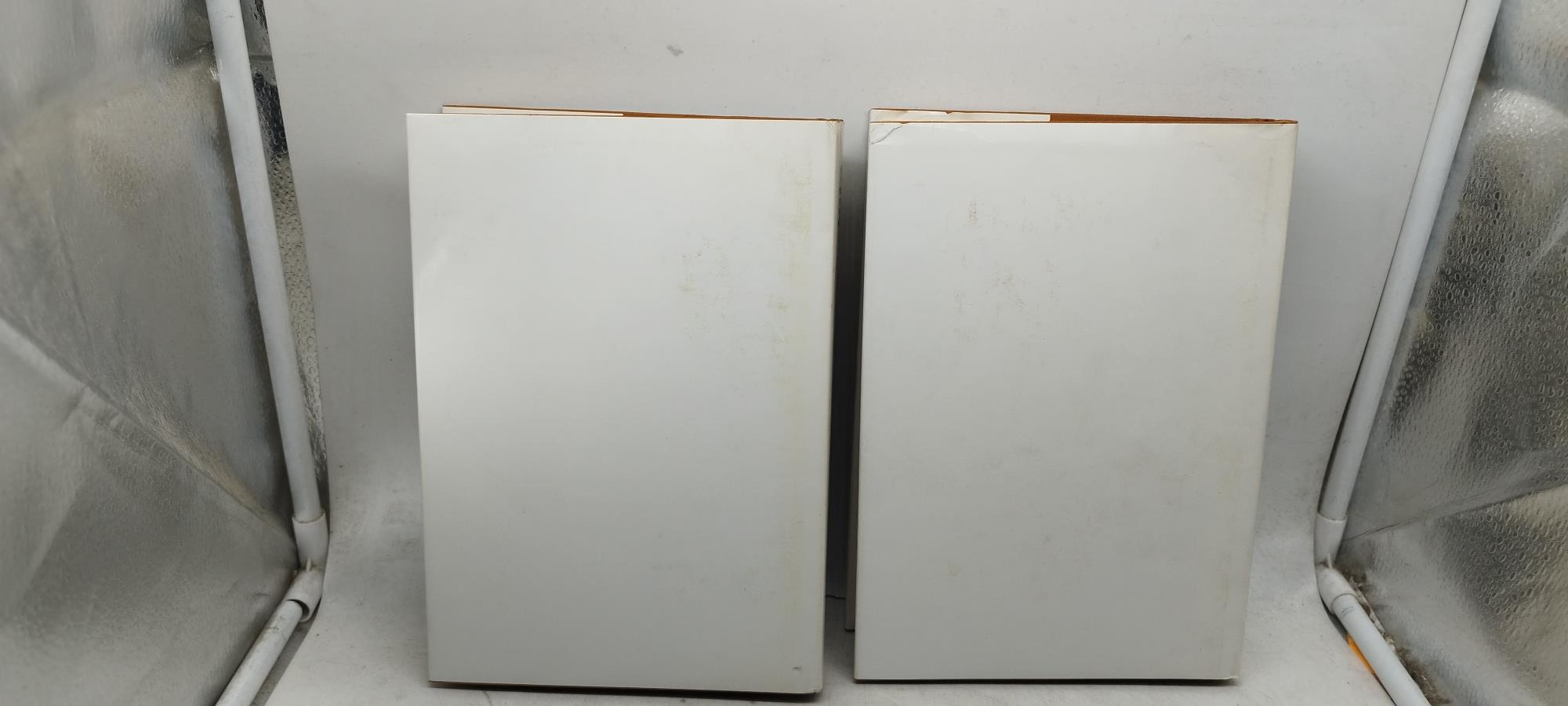 dina rebaudengo torino sconosciuta vecchia torino 2 volumi cofanetto