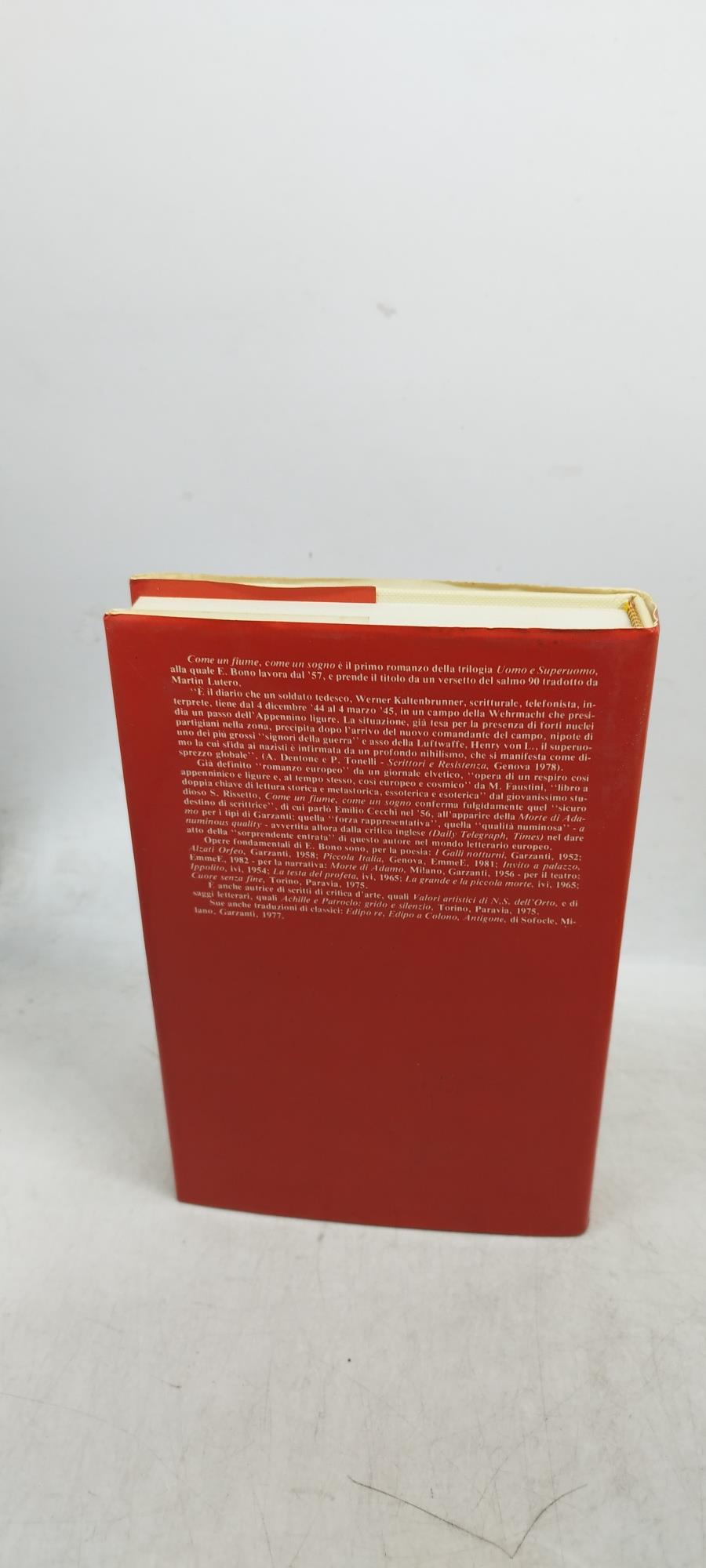 come un fiume come un sogno