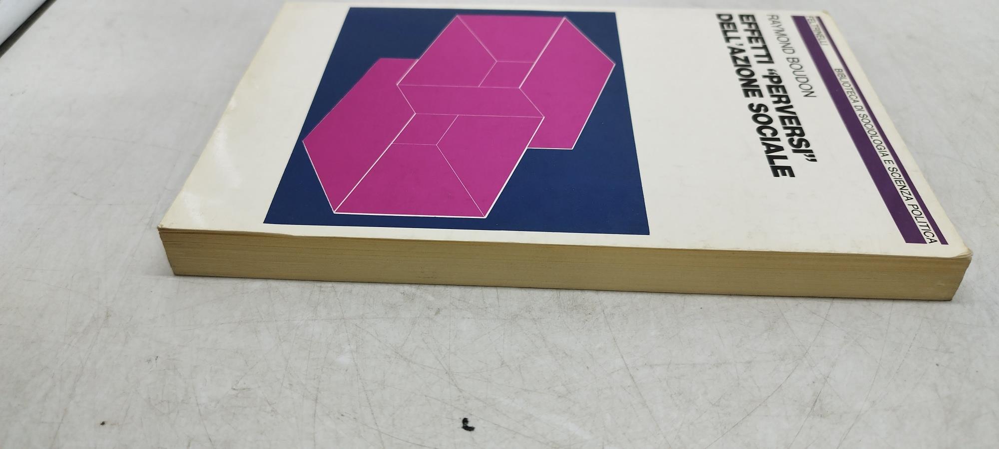 effetti perversi dell'azione sociale raymond boudon