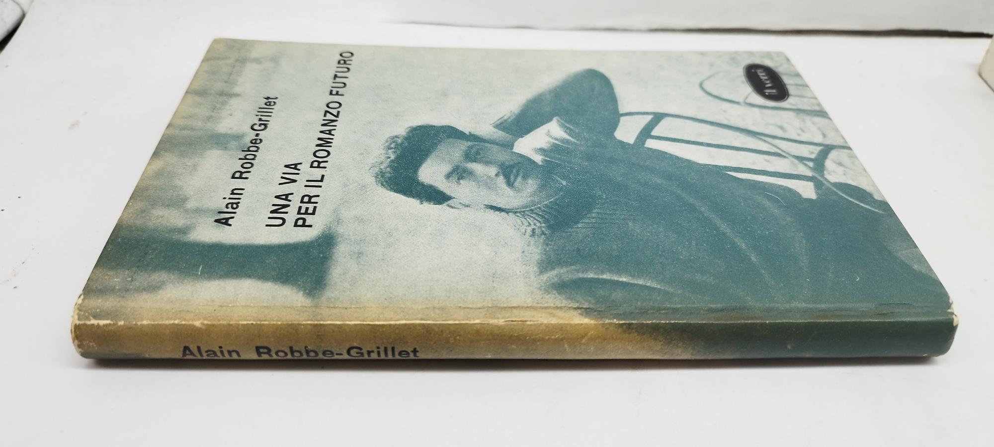 una via per il romanzo futuro