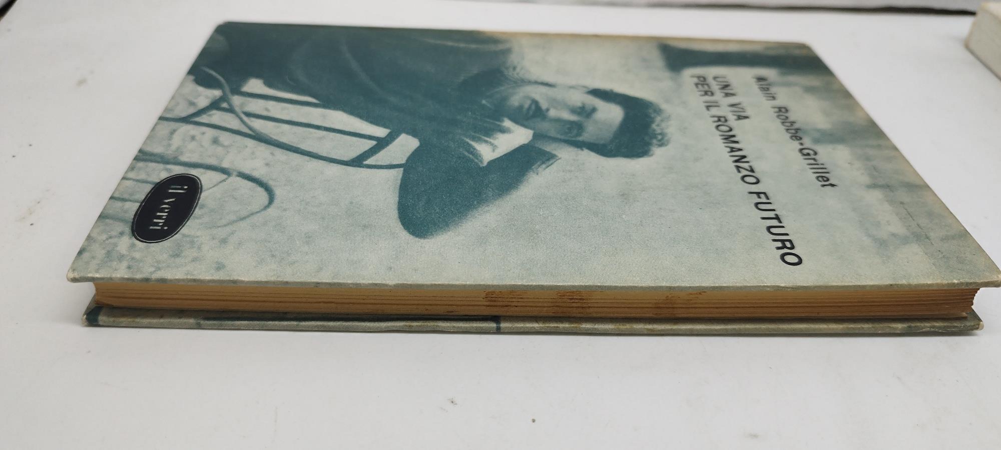 una via per il romanzo futuro