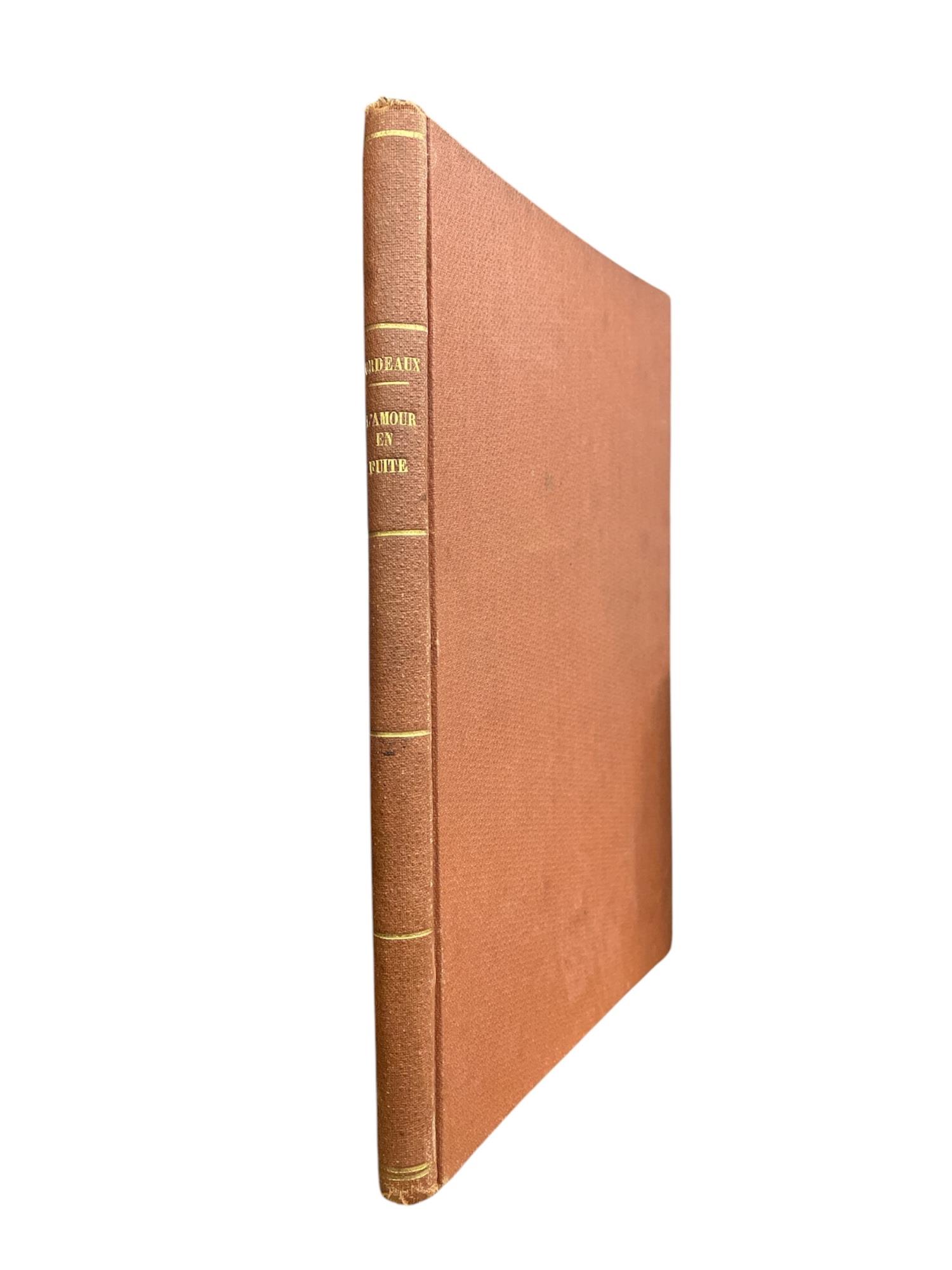 Libreria Minerva