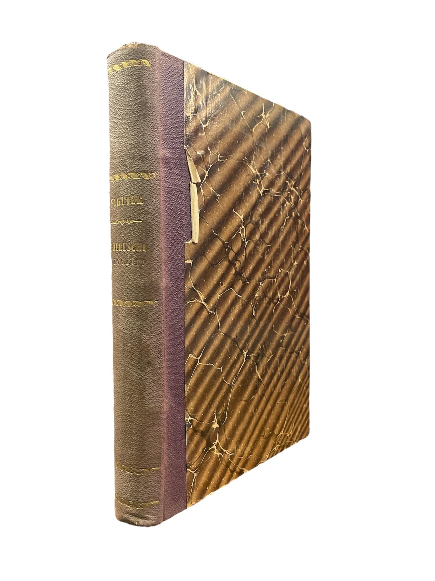 Libreria Minerva