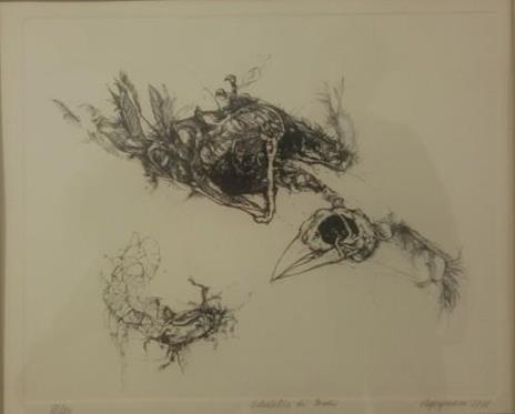 Scheletro Di Tordo - Renzo Vespignani - copertina