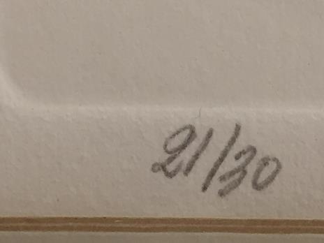 Scheletro Di Tordo - Renzo Vespignani - 3