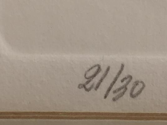 Scheletro Di Tordo - Renzo Vespignani - 3