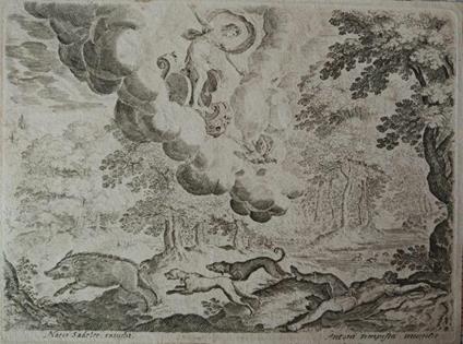 Scena Mitologica - Anonimo - copertina