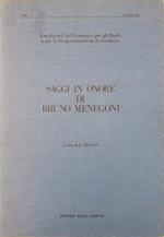 Saggi In Onore Di Bruno Menegoni