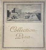 Catalogue De Collection Pisa