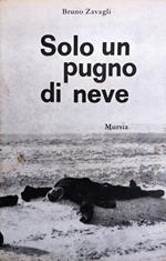 Solo Un Pugno Di Neve