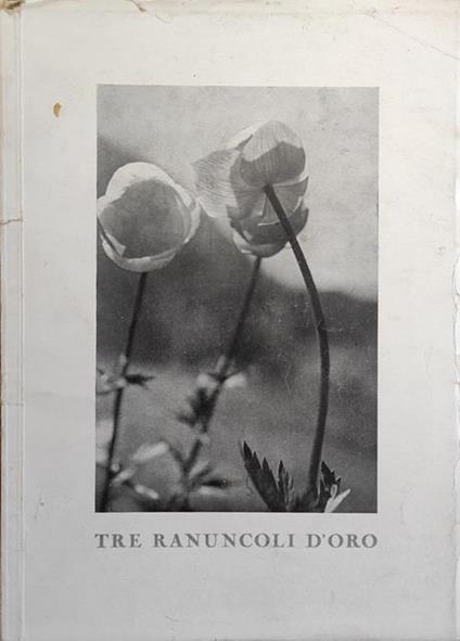 Tre Ranuncoli D'Oro - copertina