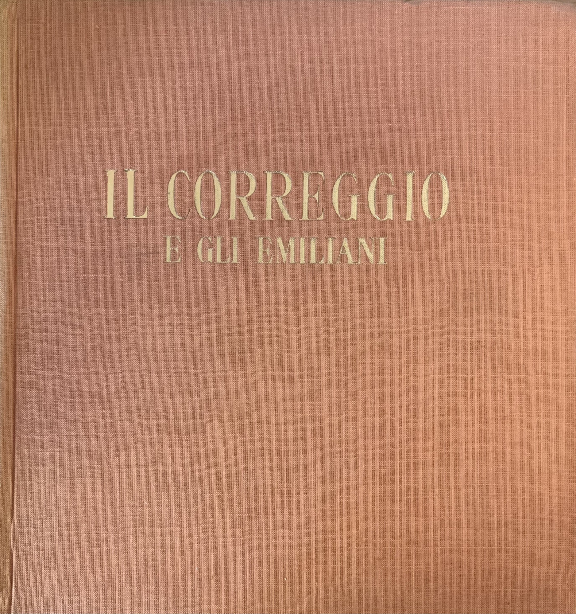 Libreria Minerva