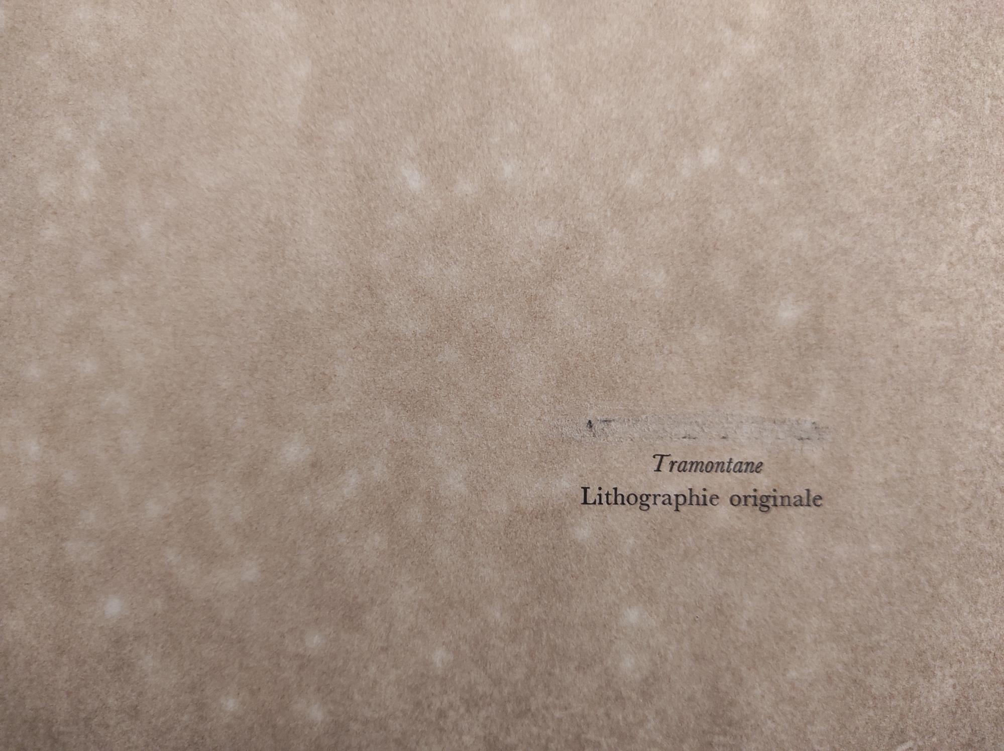 Libreria Minerva