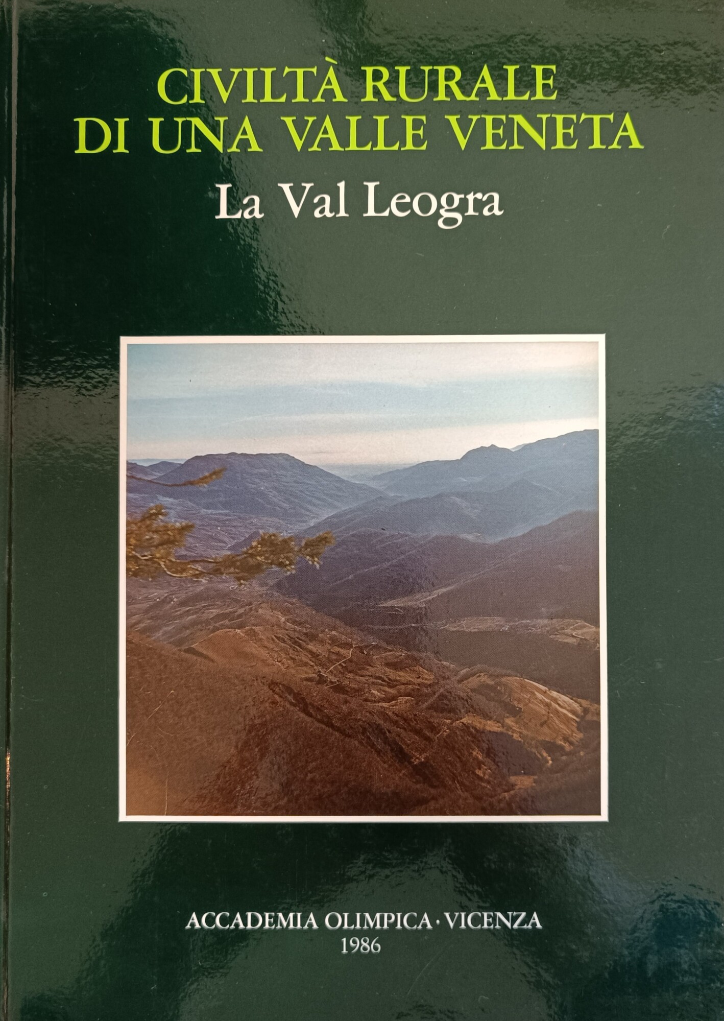 Libreria Minerva
