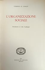 L' Organizzazione Sociale