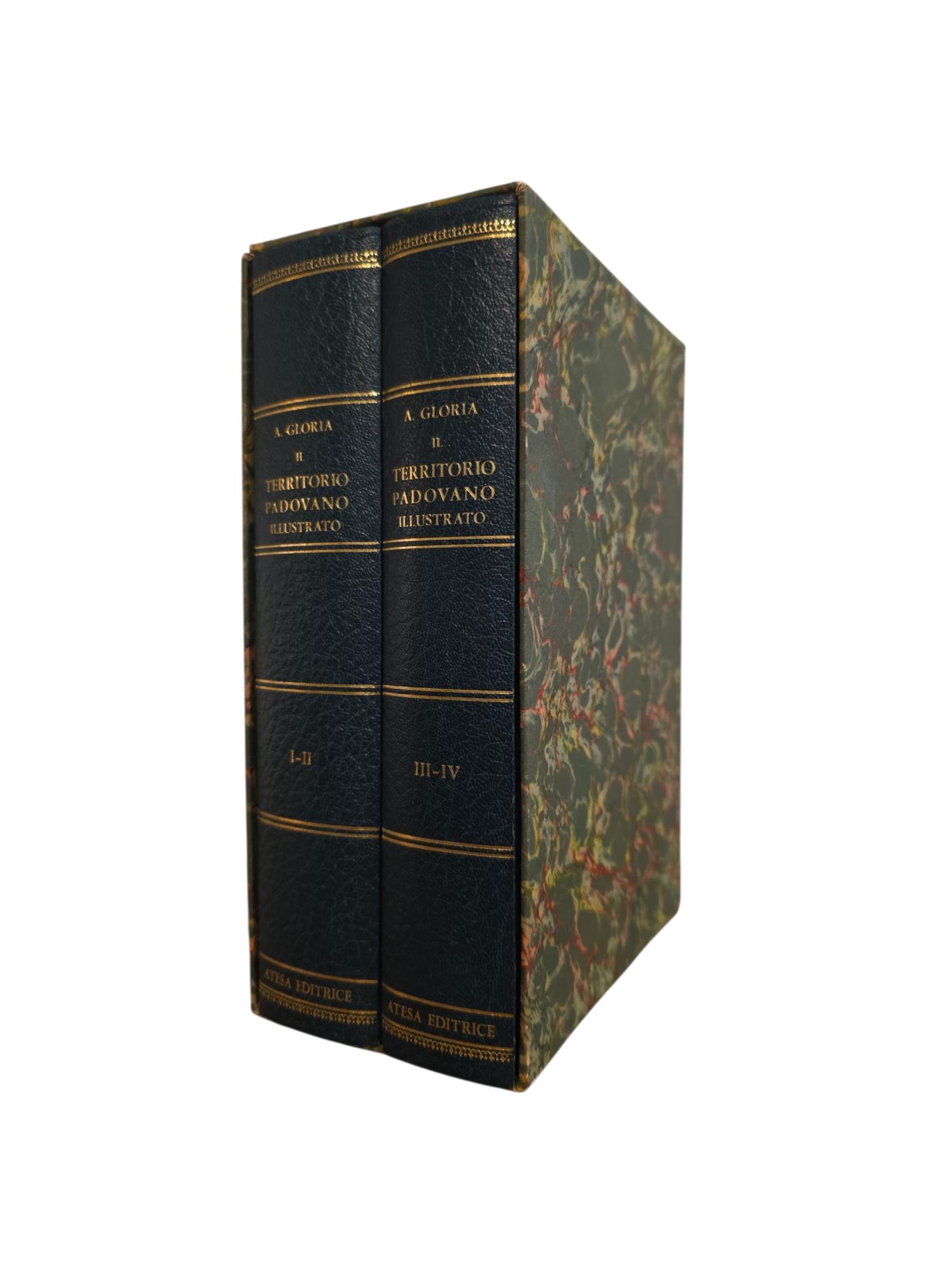 Il Territorio Padovano Illustrato