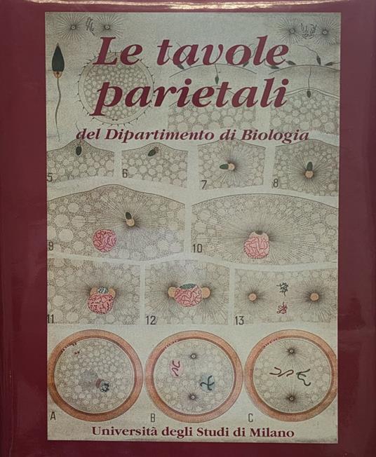 Le Tavole Parietali Del Dipartimento Di Biologia Patrimonio Artistico Dell'Universita' Degli Studi Di Milano - Graziella Buccellati - copertina