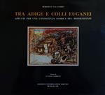 Tra Adige E Colli Euganei. Appunti Per Una Conoscenza Storica Del Monselicense