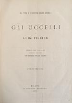 La Vita E I Costumi Degli Animali. Gli Uccelli