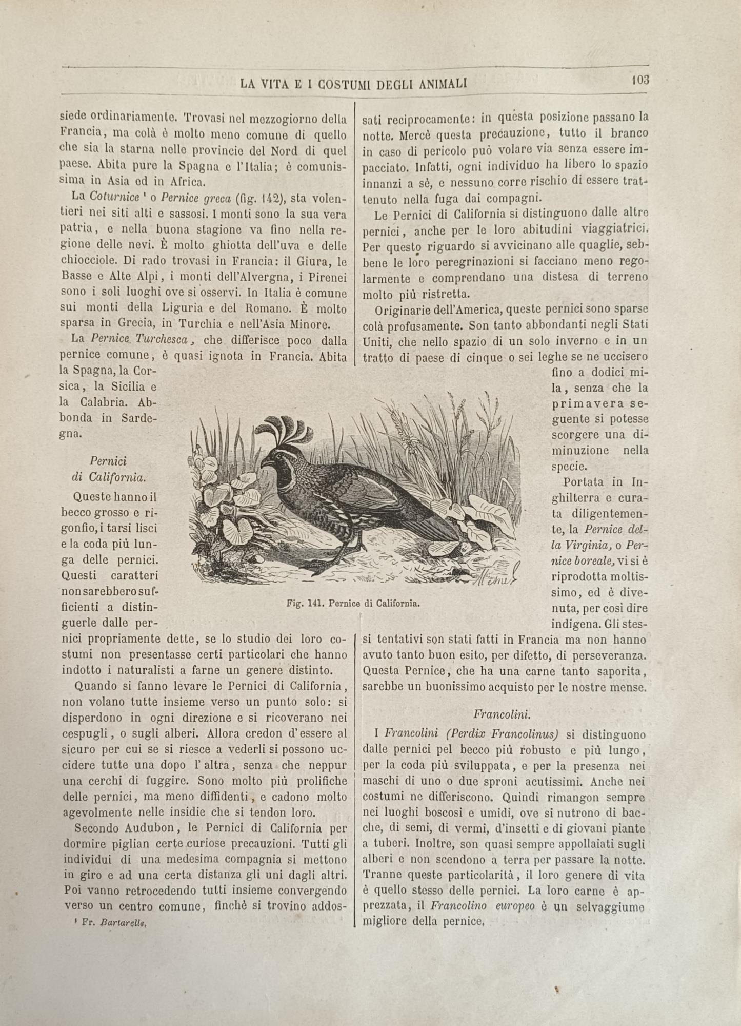 La Vita E I Costumi Degli Animali. Gli Uccelli