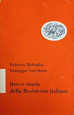 Breve Storia Della Resistenza Italiana