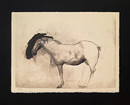 Cavallo - Marino Marini - copertina