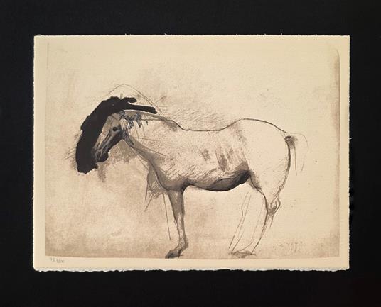 Cavallo - Marino Marini - copertina