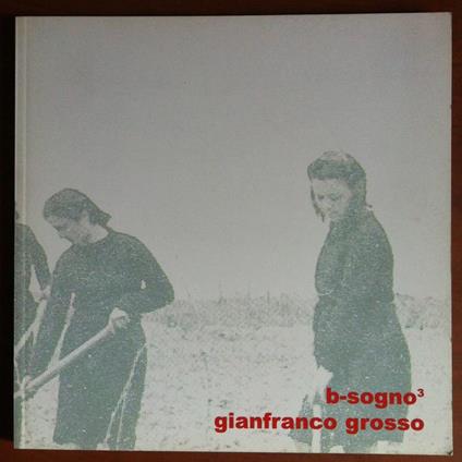 Catalogo della mostra di Gianfranco Grosso Gall. Totem Venezia 2004 - E18699 - copertina