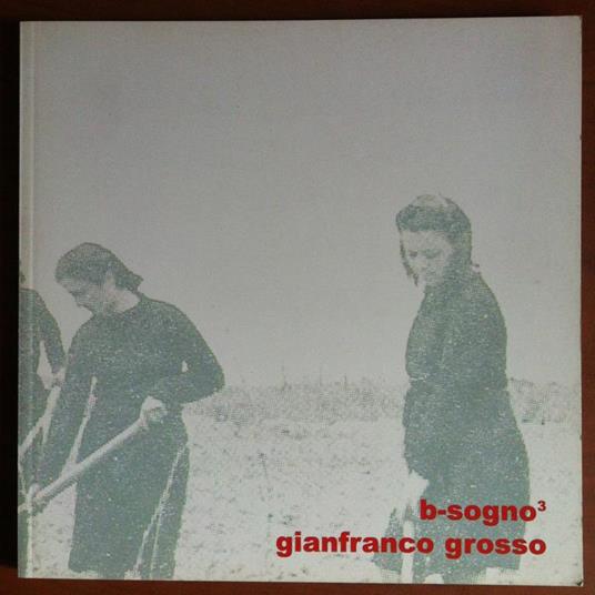 Catalogo della mostra di Gianfranco Grosso Gall. Totem Venezia 2004 - E18699 - copertina