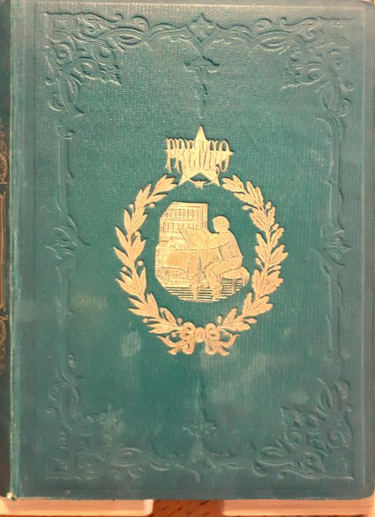 La grande amica - Pietro l'eremita - copertina