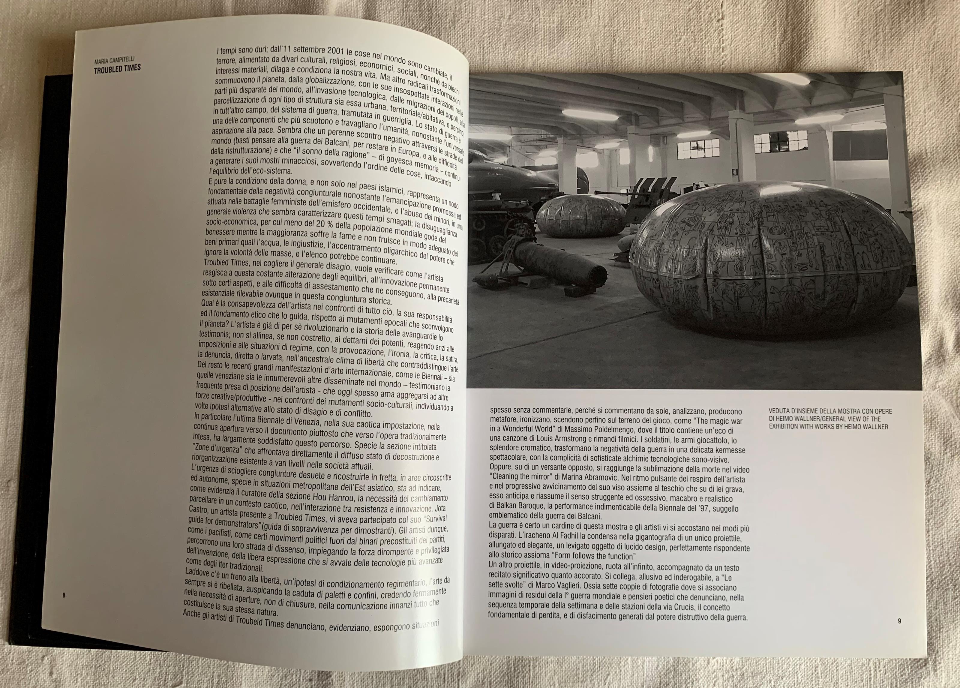 Troubled times [Natura naturans n. 9]