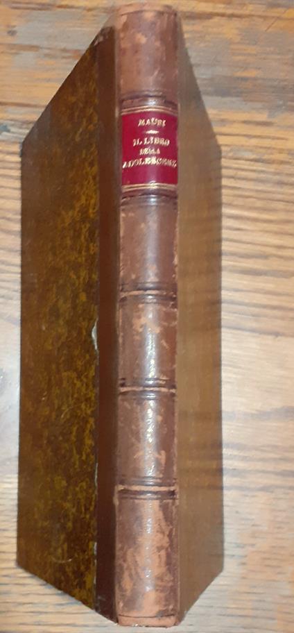 Il libro dell'adolescenza - Achille Mauri - copertina