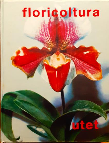 Floricoltura - Onorato Masera - copertina