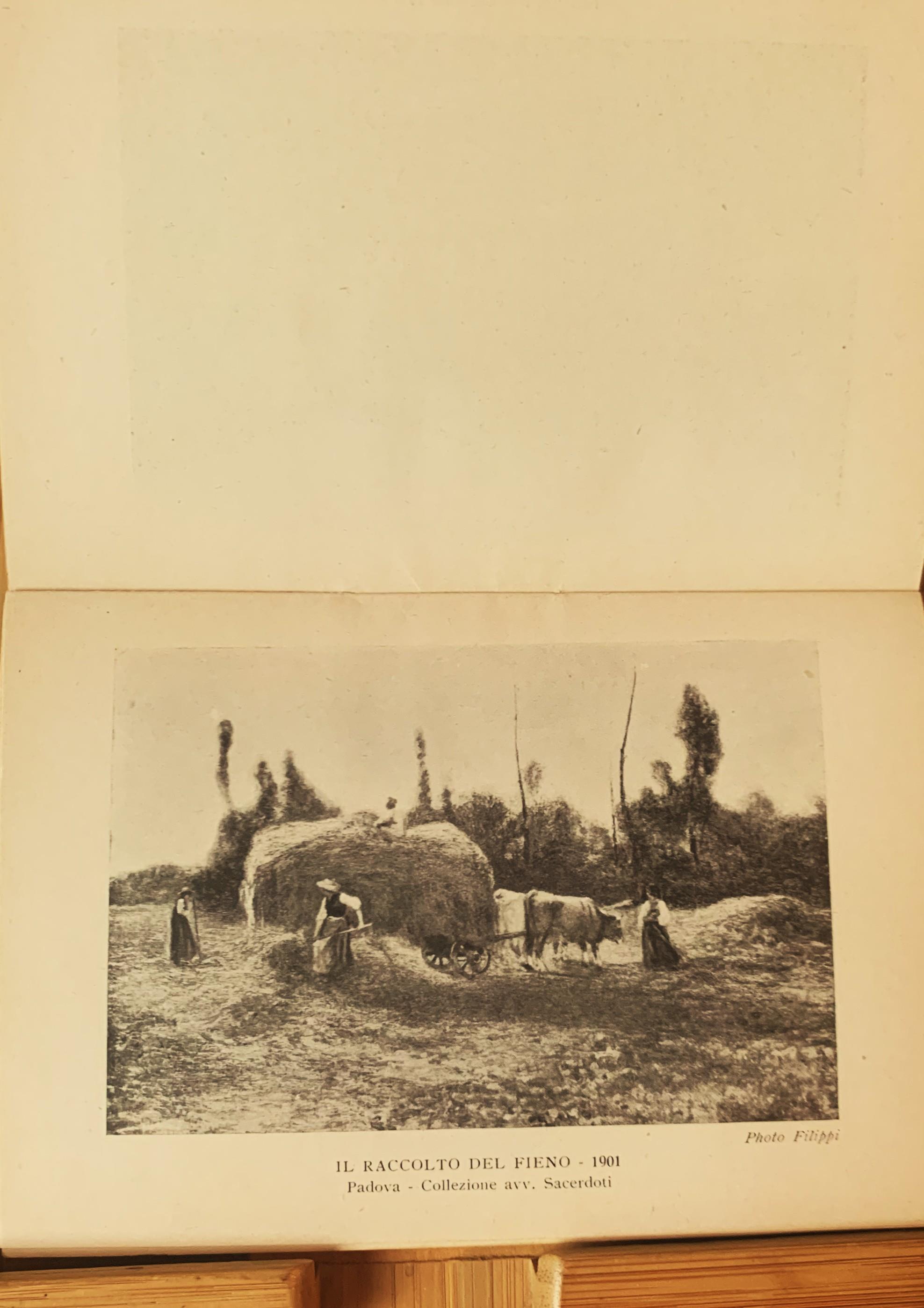 Guglielmo Ciardi pittore (1842-1917) / Ciardi pittore