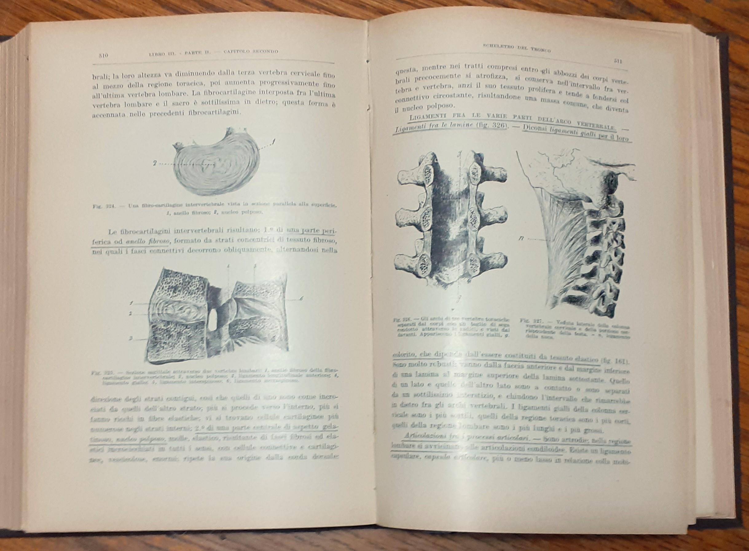 Istituzioni di anatomia dell'uomo. Volume primo. Introduzione - anatomia generale - embriogenia - anatomia sistematica: apparecchio tegumentario - apparecchio scheletrico