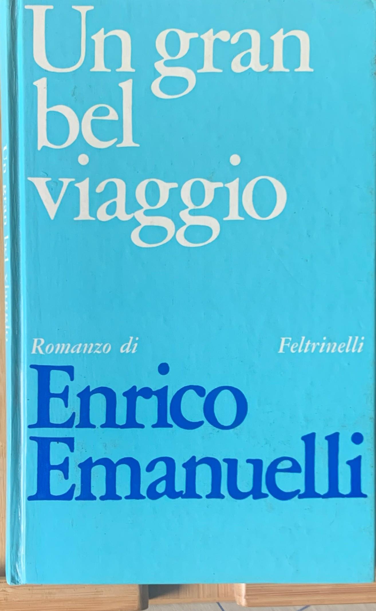 Un gran bel viaggio. Romanzo