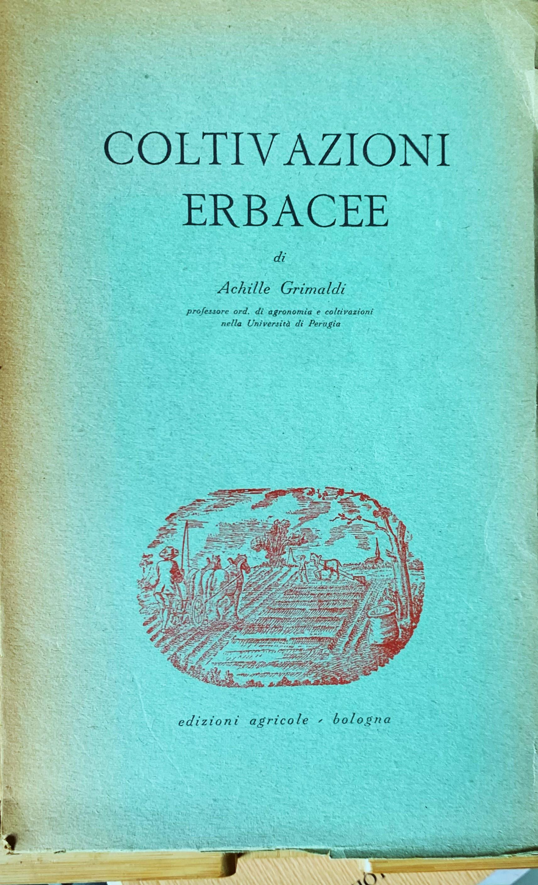 Coltivazioni erbacee