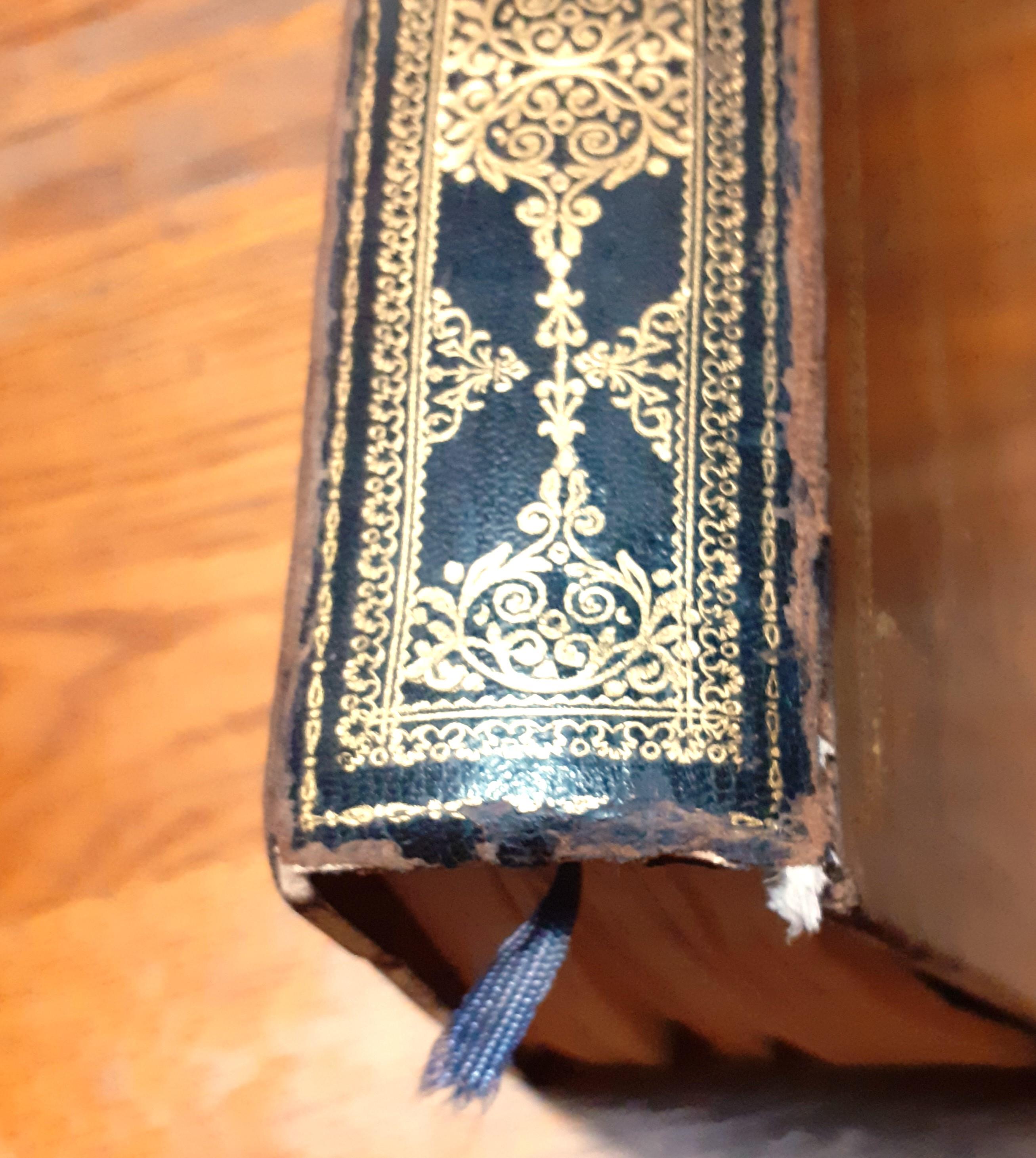 Venaria Reale / Palazzo / di Piacere, e di Caccia, Ideato / Dall'Altezza Reale di / Carlo Emanuele II / Duca di Savoia, Re di Cipro & c. / Disegnato, e descritto dal Conte / Amedeo di Castellamonte. / L'Anno 1672