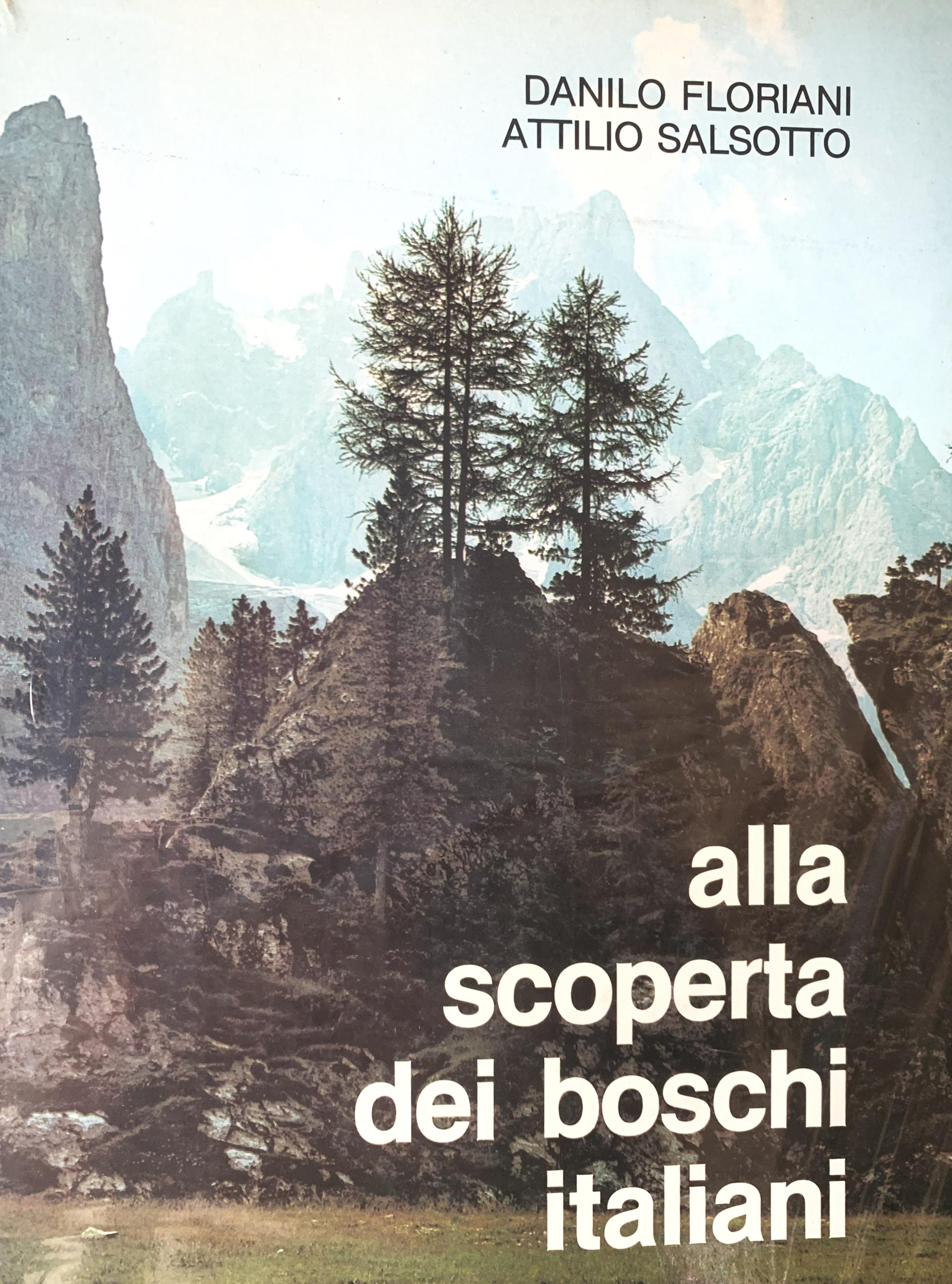 alla scoperta dei boschi italiani